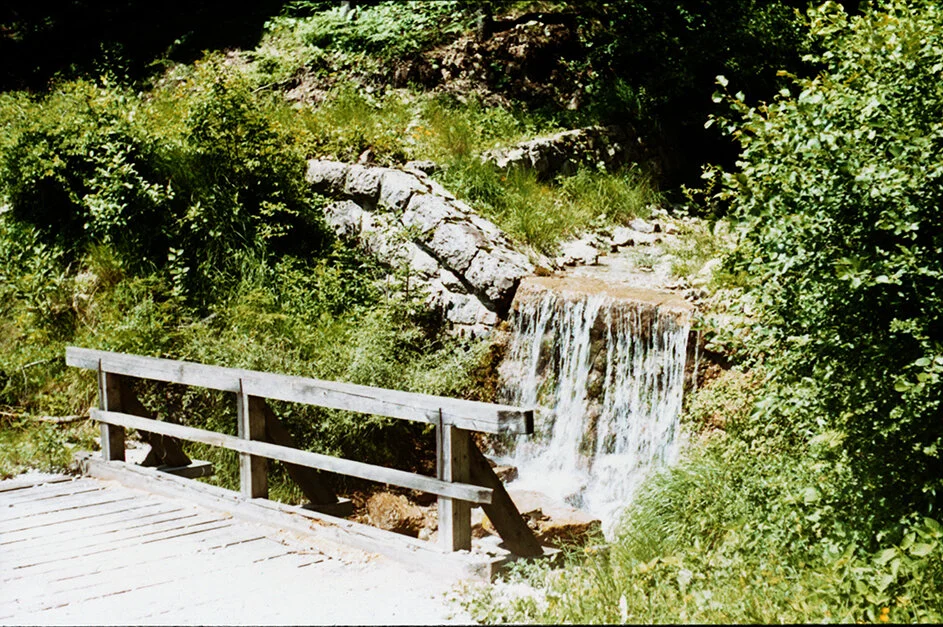 img354.jpg