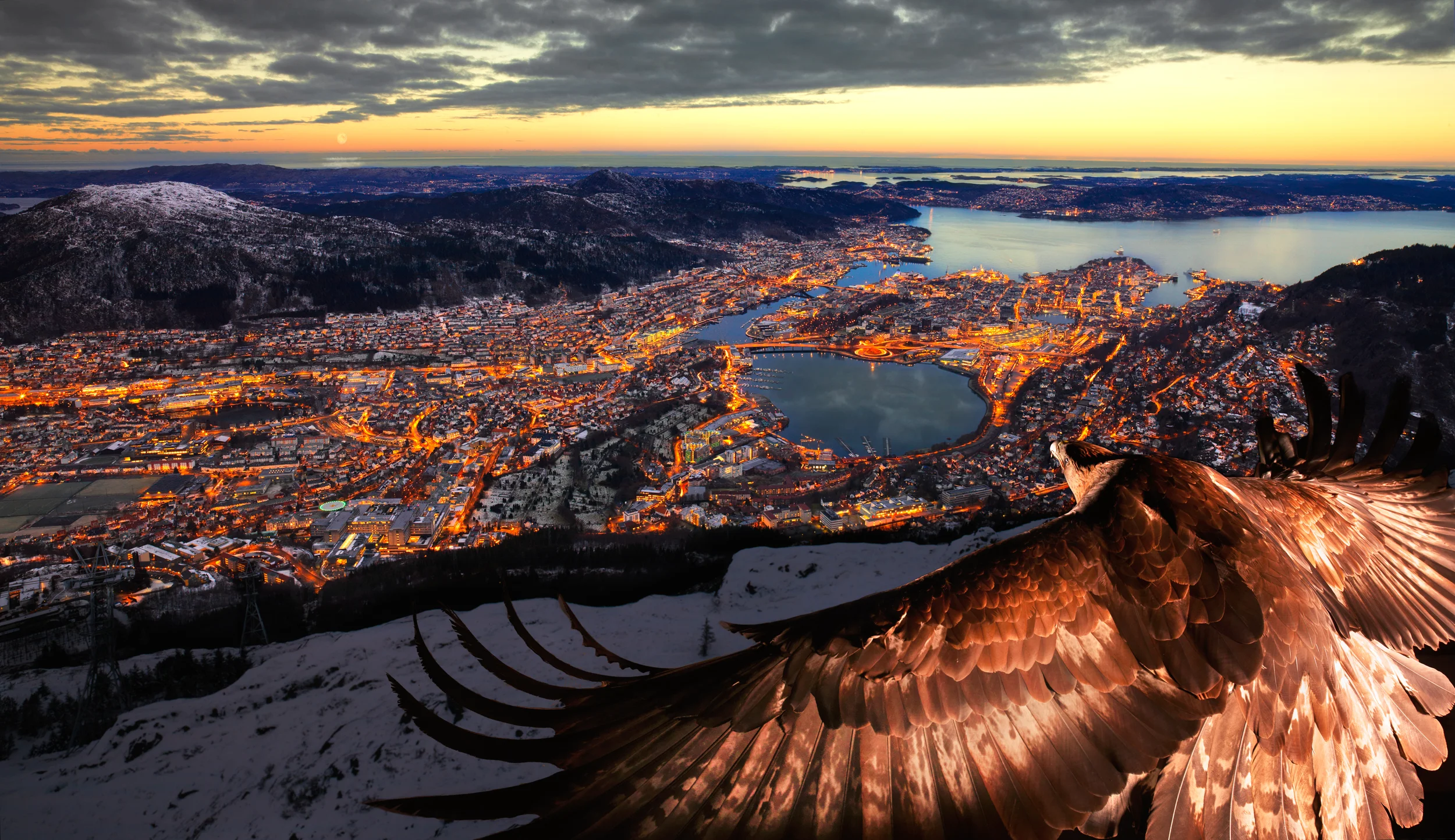 The Bergen Eagle