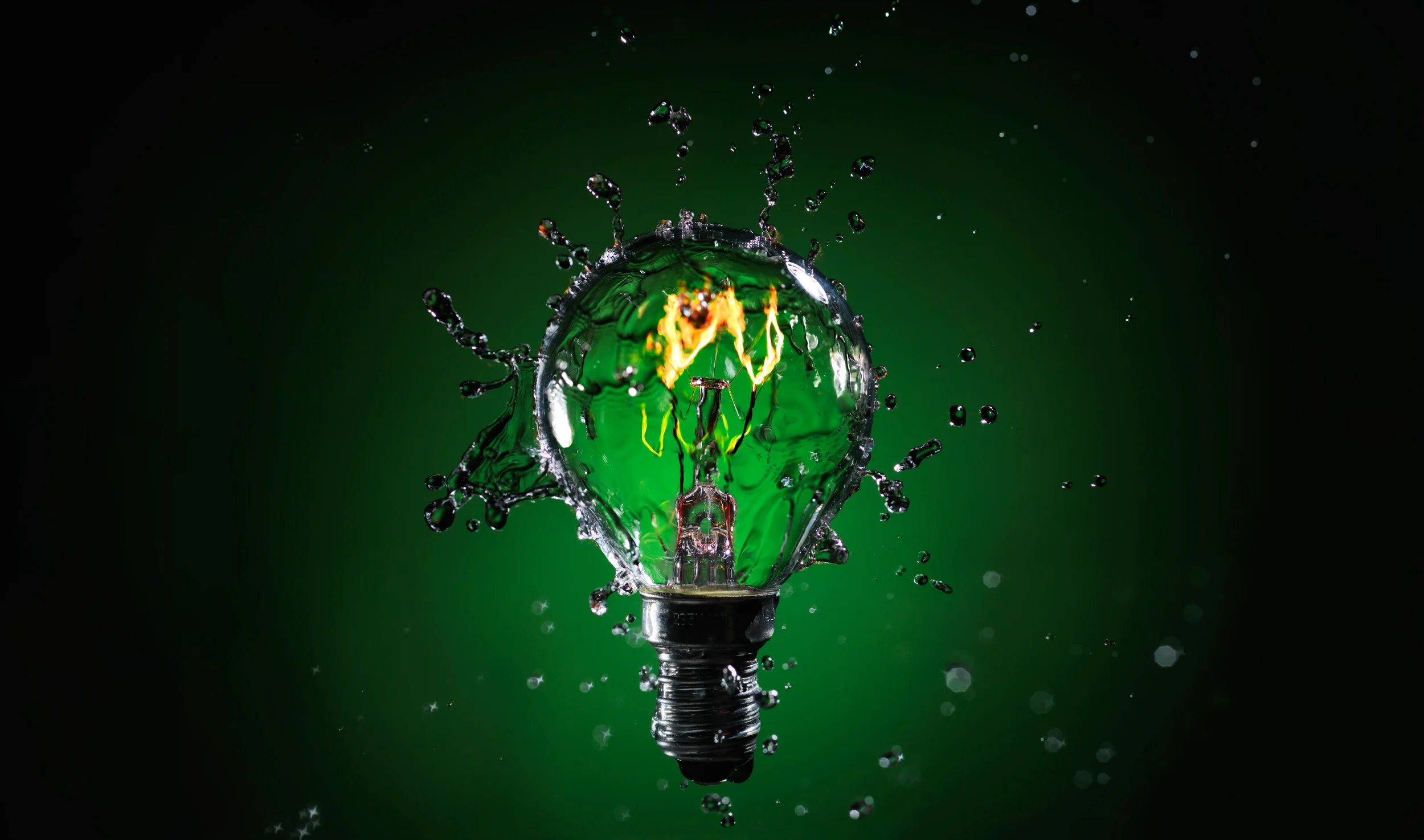 Lean Business; Idea