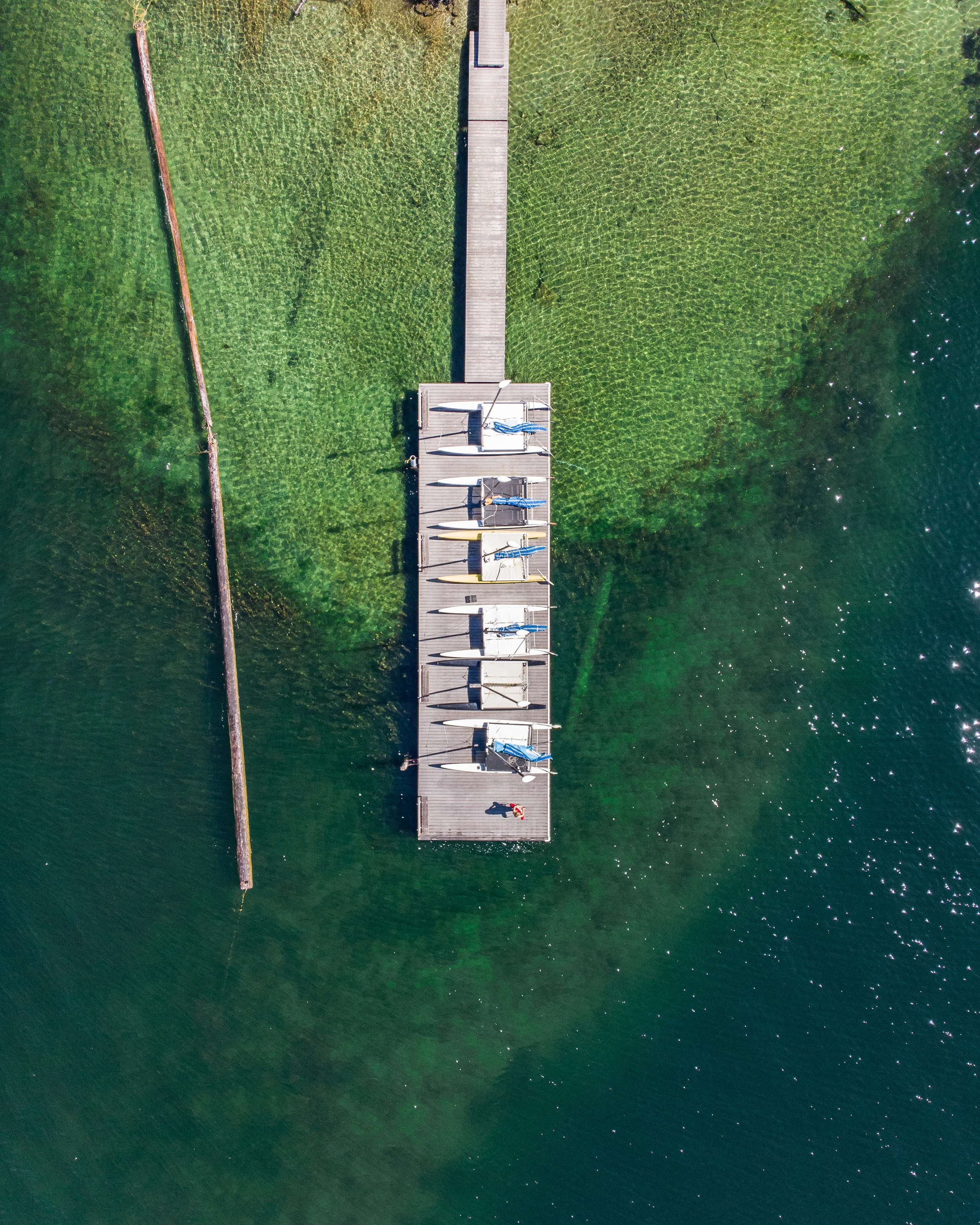 Dock.jpg