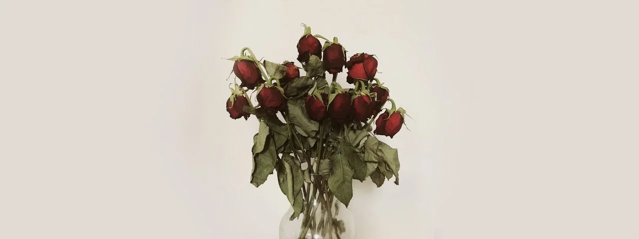 FINAL_banner roses_preview.jpg
