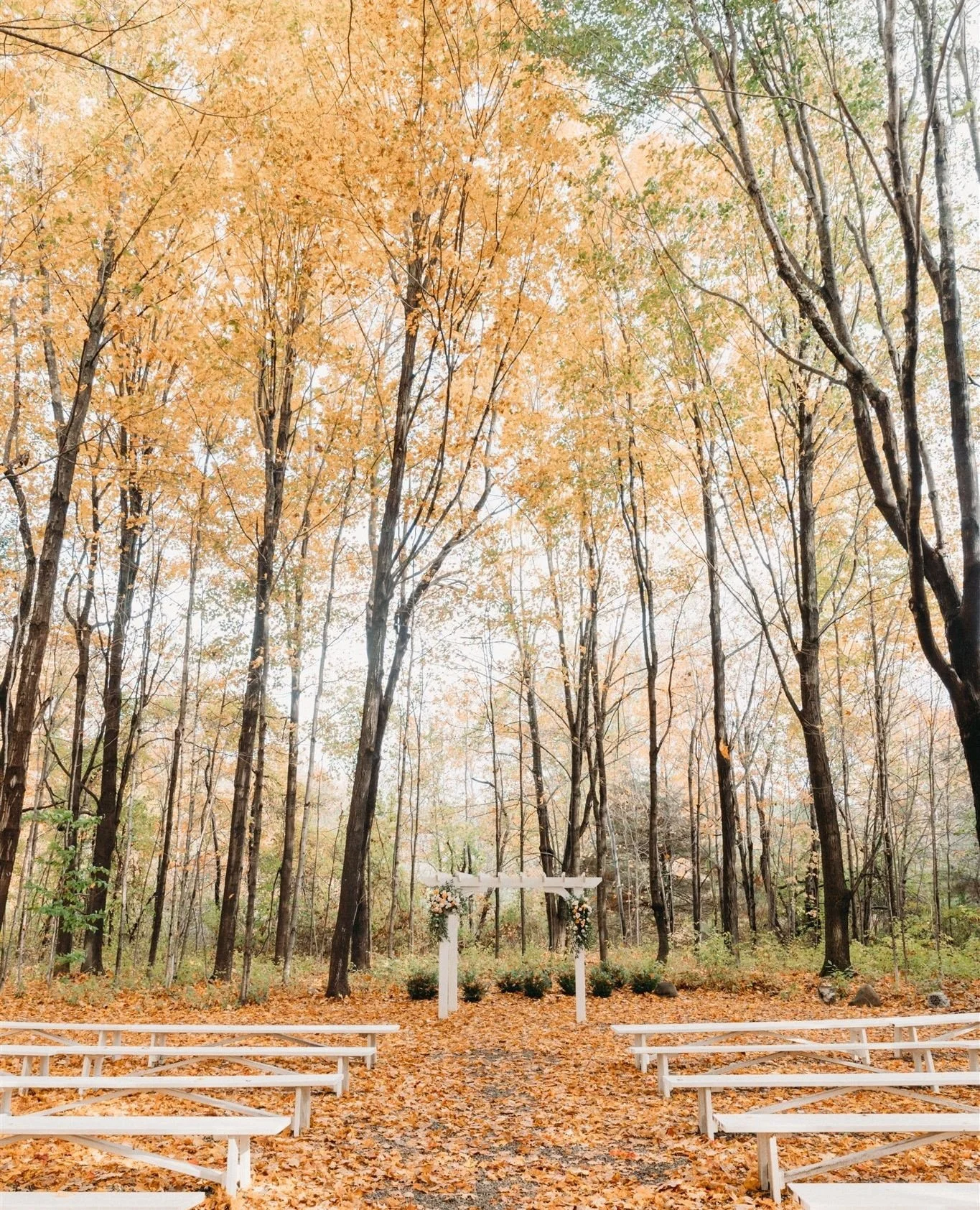 Heading into a gorgeous, peak fall wedding weekend and thinking back on this gorgeous golden ceremony in our forest grove... 🧡
Z&F
Planner: @jddesignboston
Photo: @servidonestudios
Video: @rebeccadrouin_
Flowers: @kinshipfloral
Lighting: