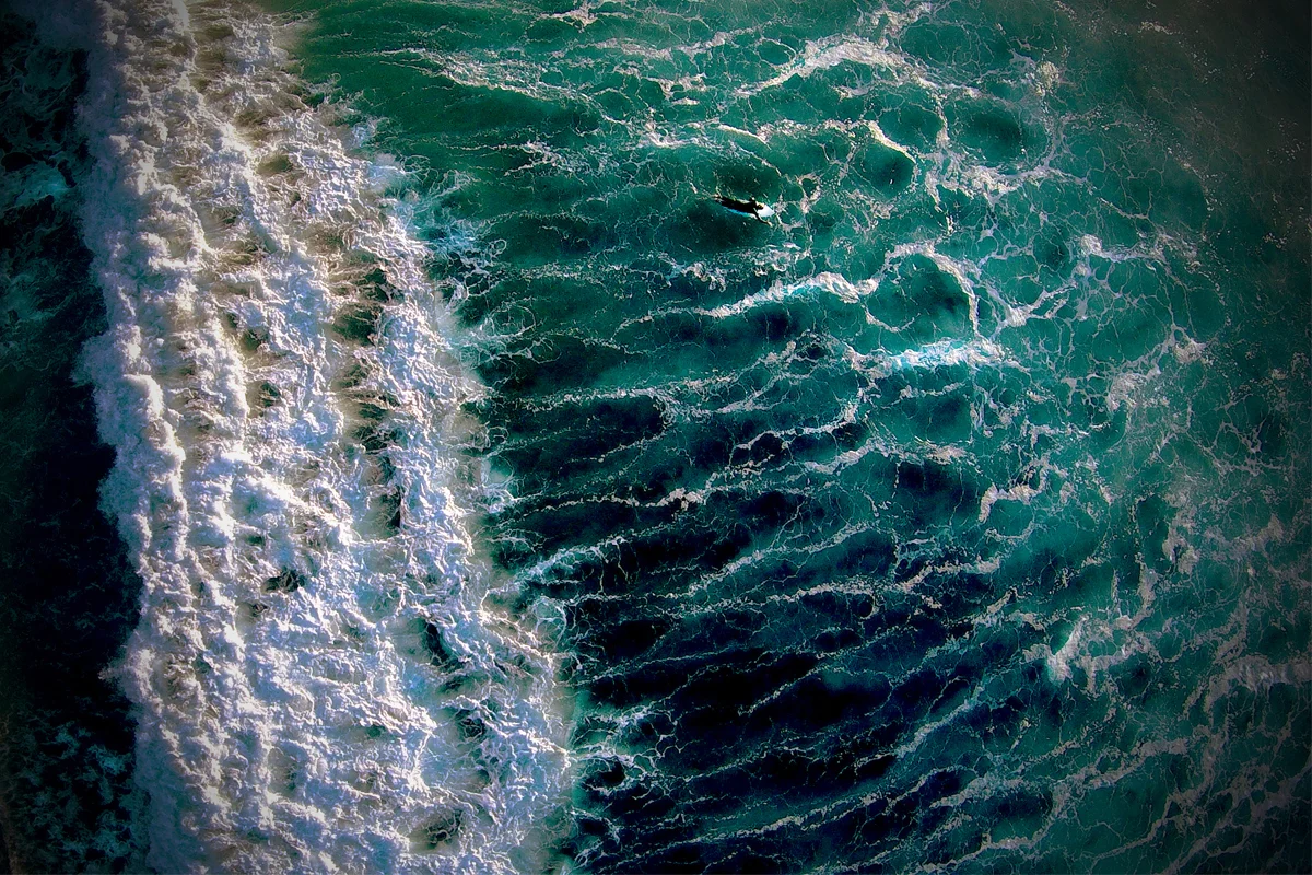 WH 5.jpg