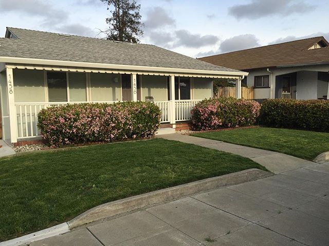 Lawn looking nice and crisp! And a hawthornia hedge in full bloom.

#landscape #maitenance #spring #bees #plants