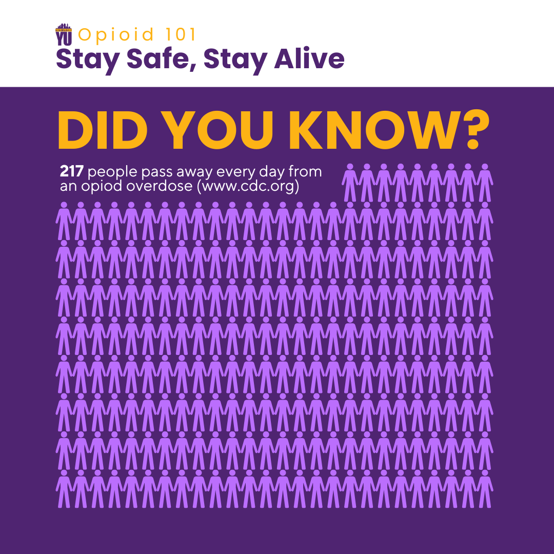 Did you know (2).png