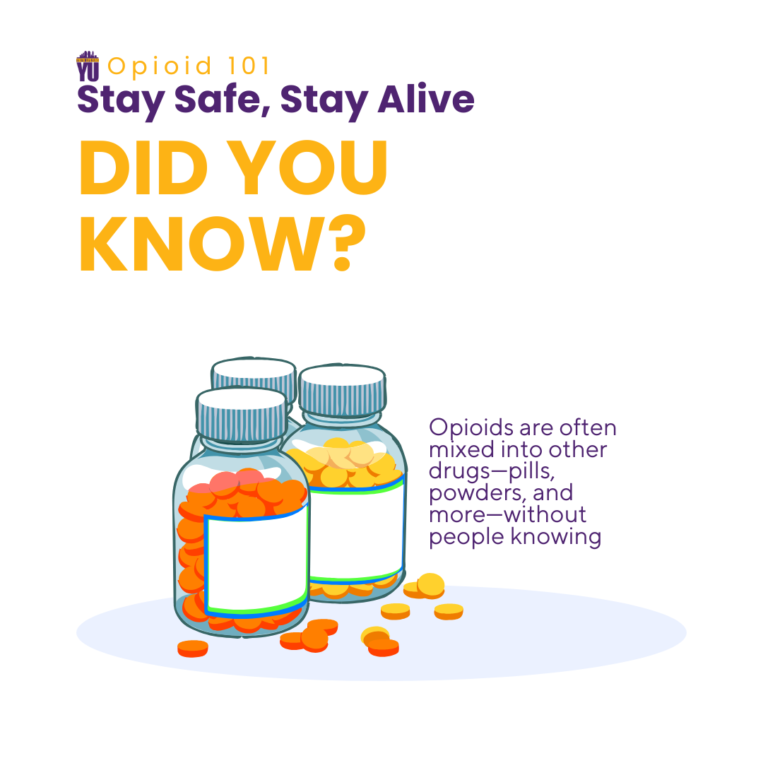 Did you know (3).png