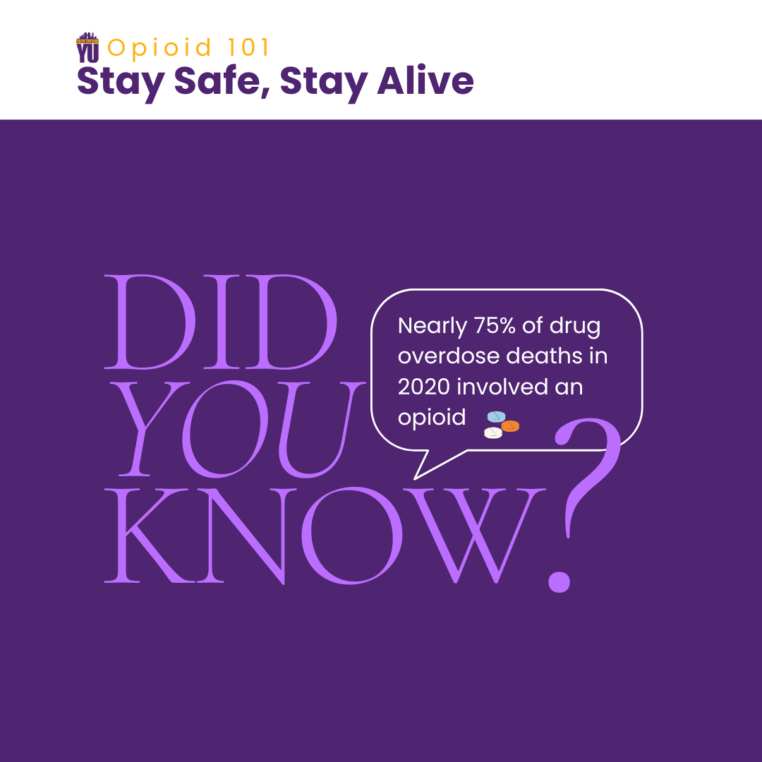 Did you know (4).png