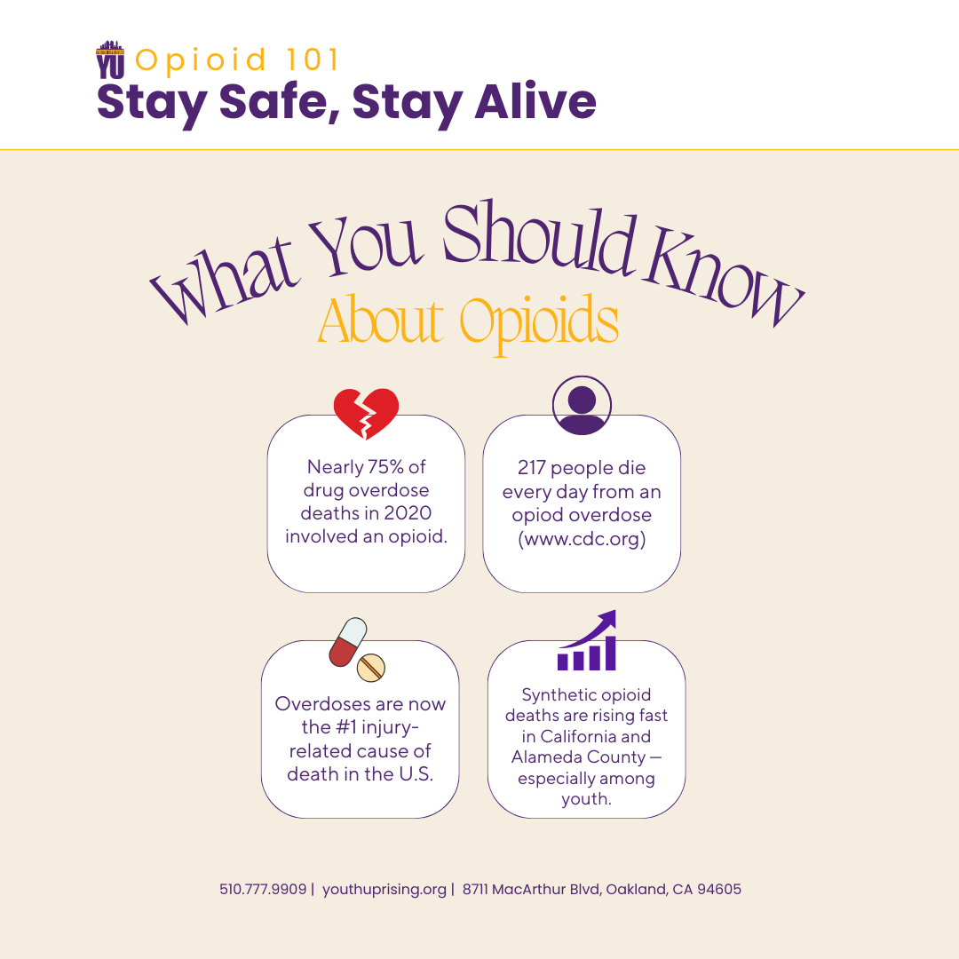 Fact sheet_ what you should know about opioids.png