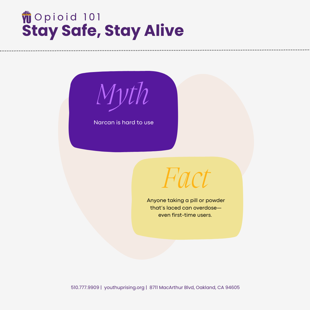 Myths vs. Facts (4).png