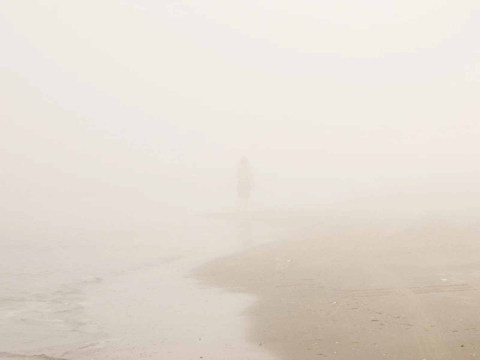 MLUD_ScreenRes--0421.jpg
