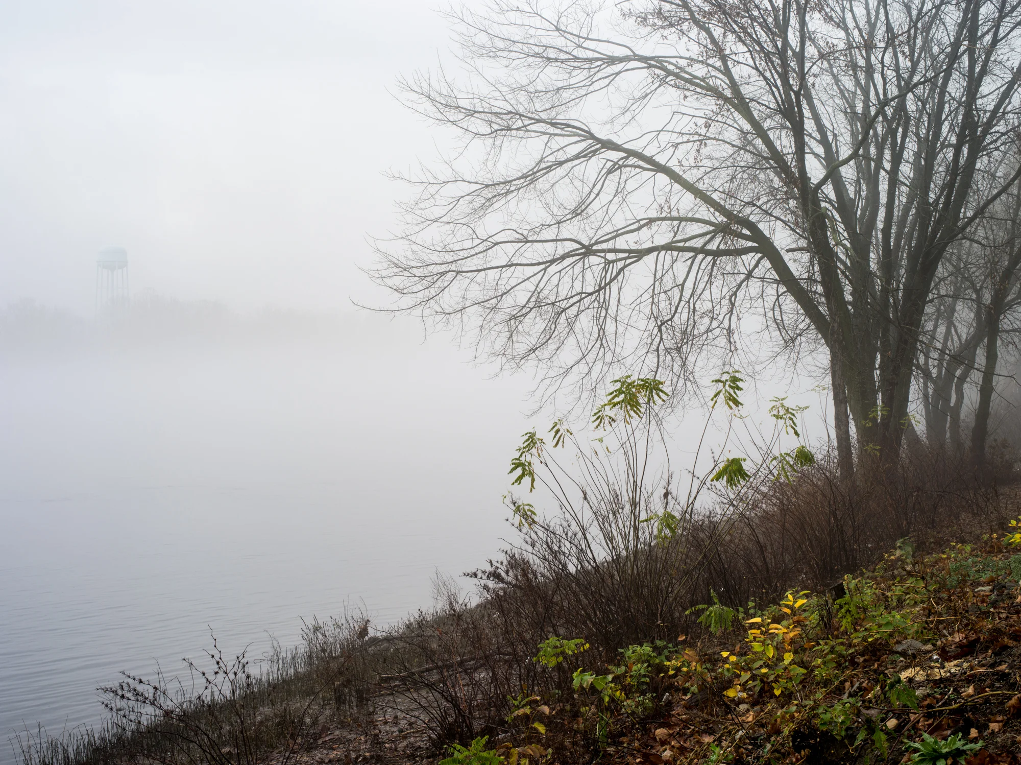 Mark_Ludak-0588.jpg