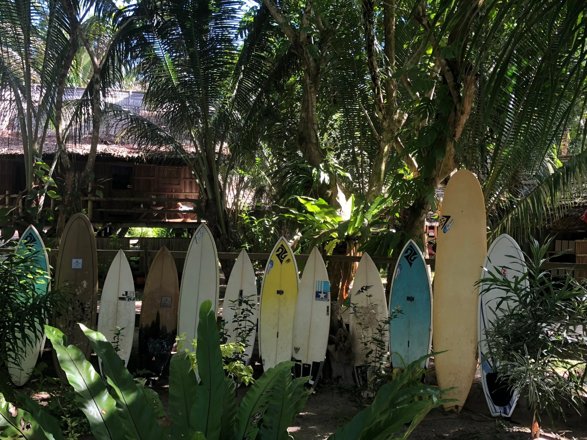 Boards at Papatura.jpg
