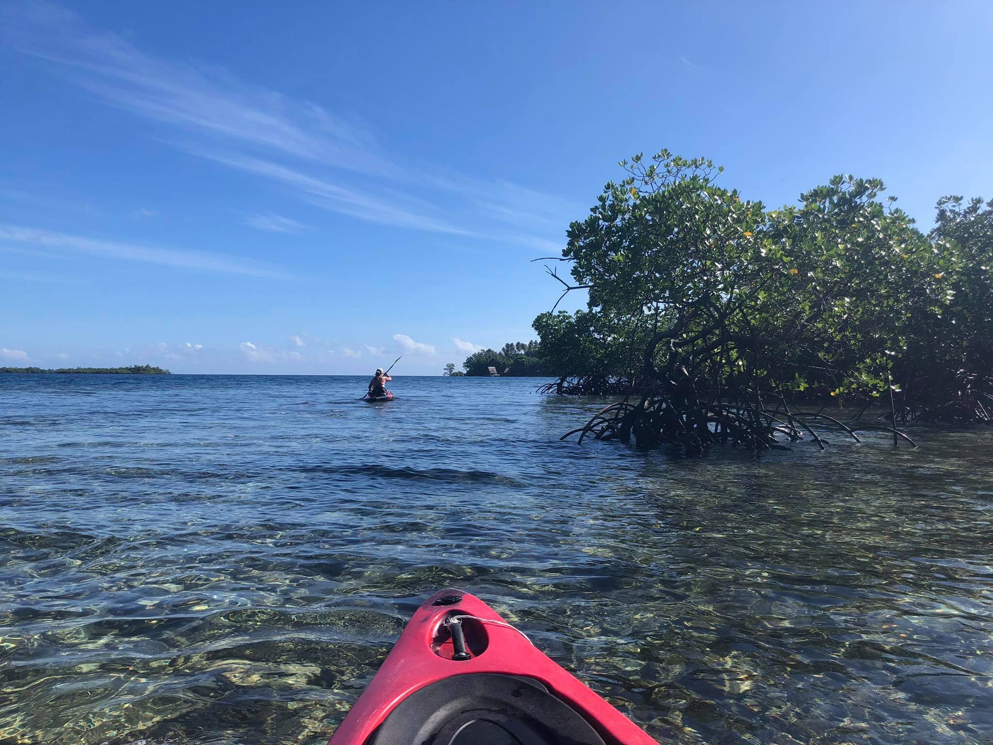 kayaking treks around the island.jpg