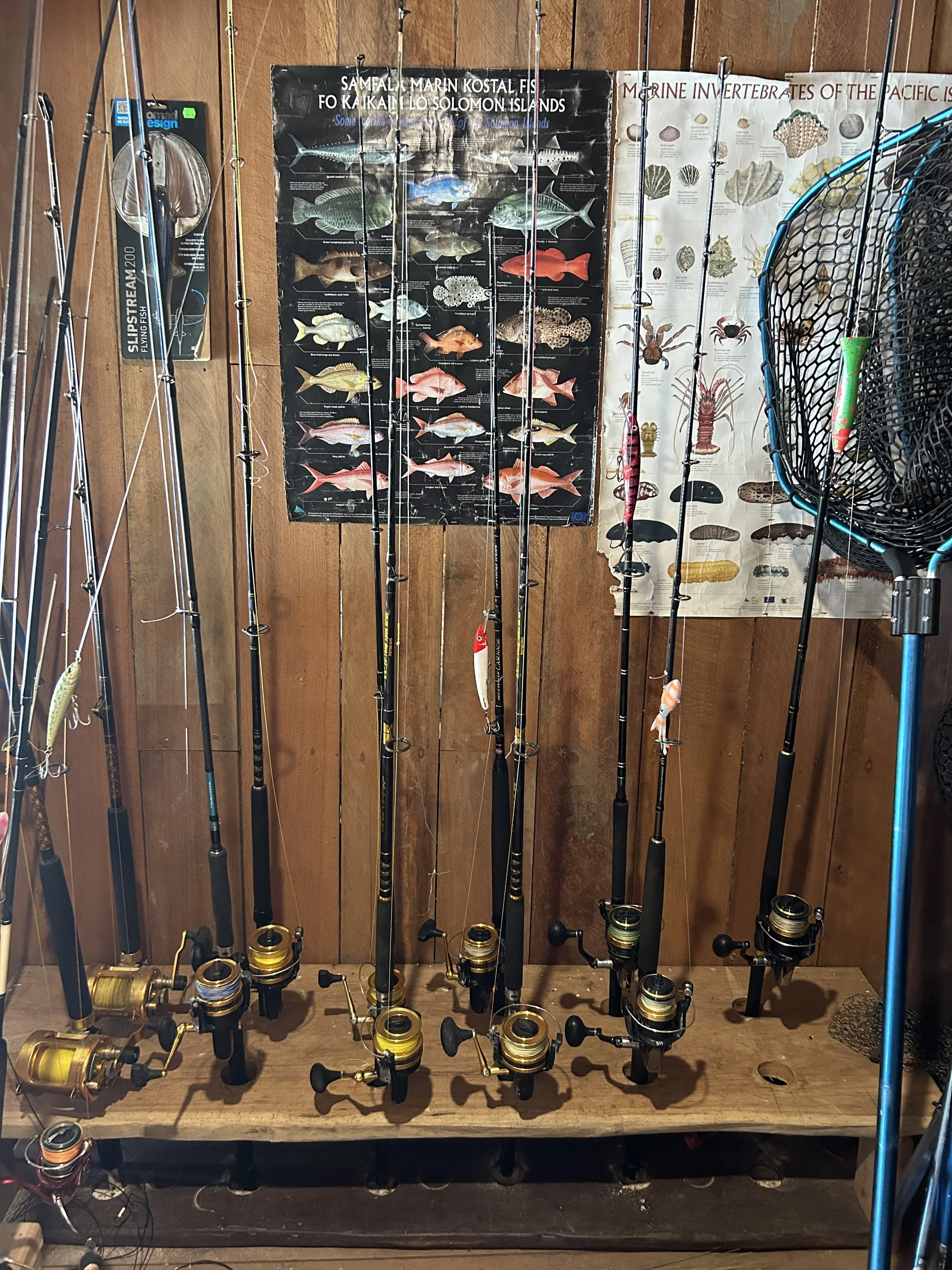 Fishing Rods Papatura.jpeg