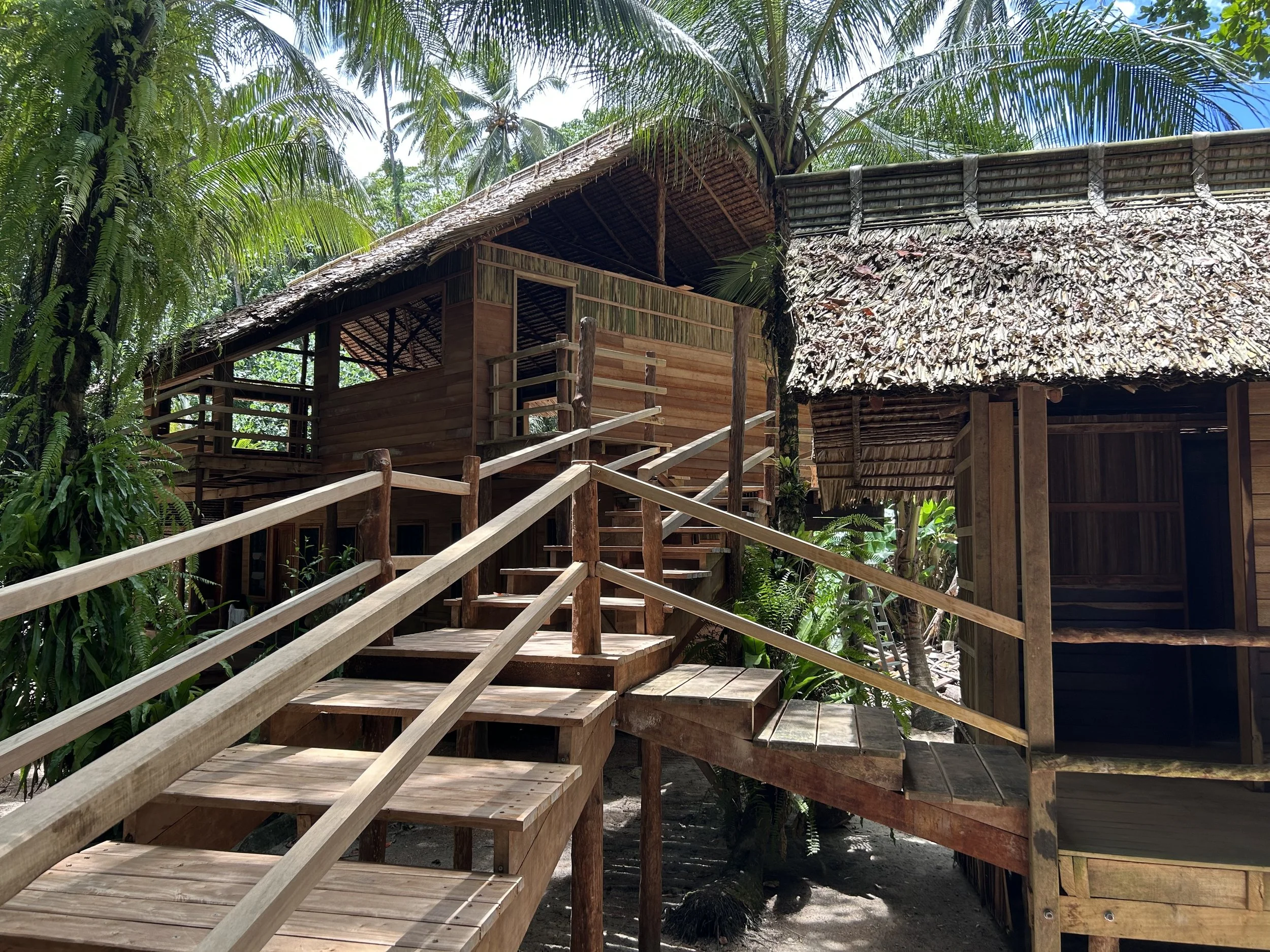 Tree top and public bathroom.jpeg