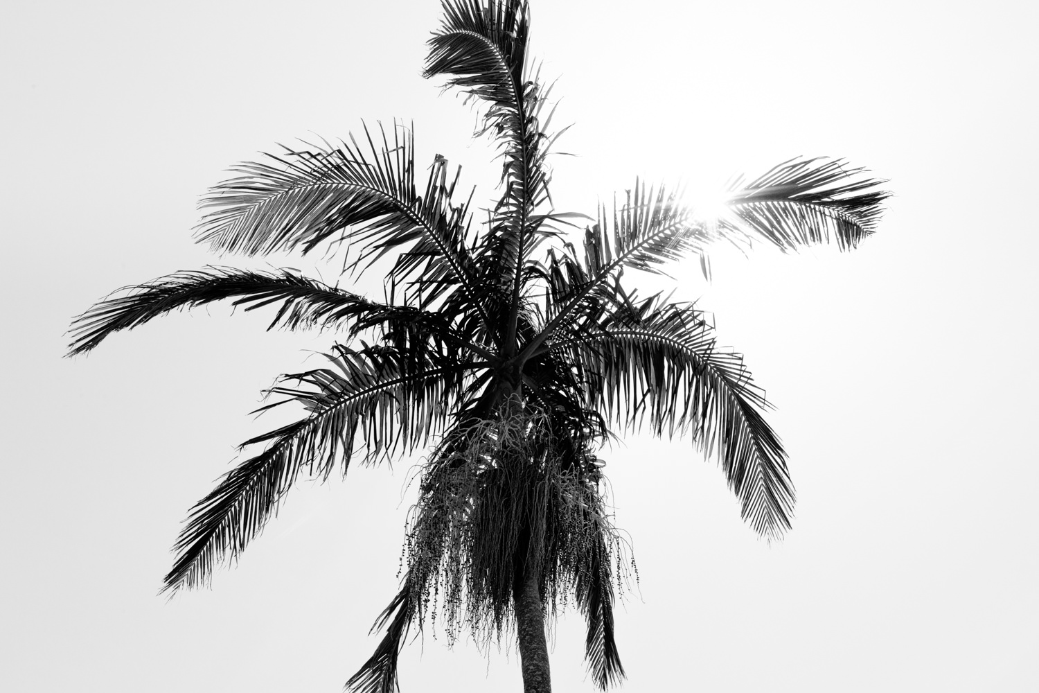Claire & James-8.jpg