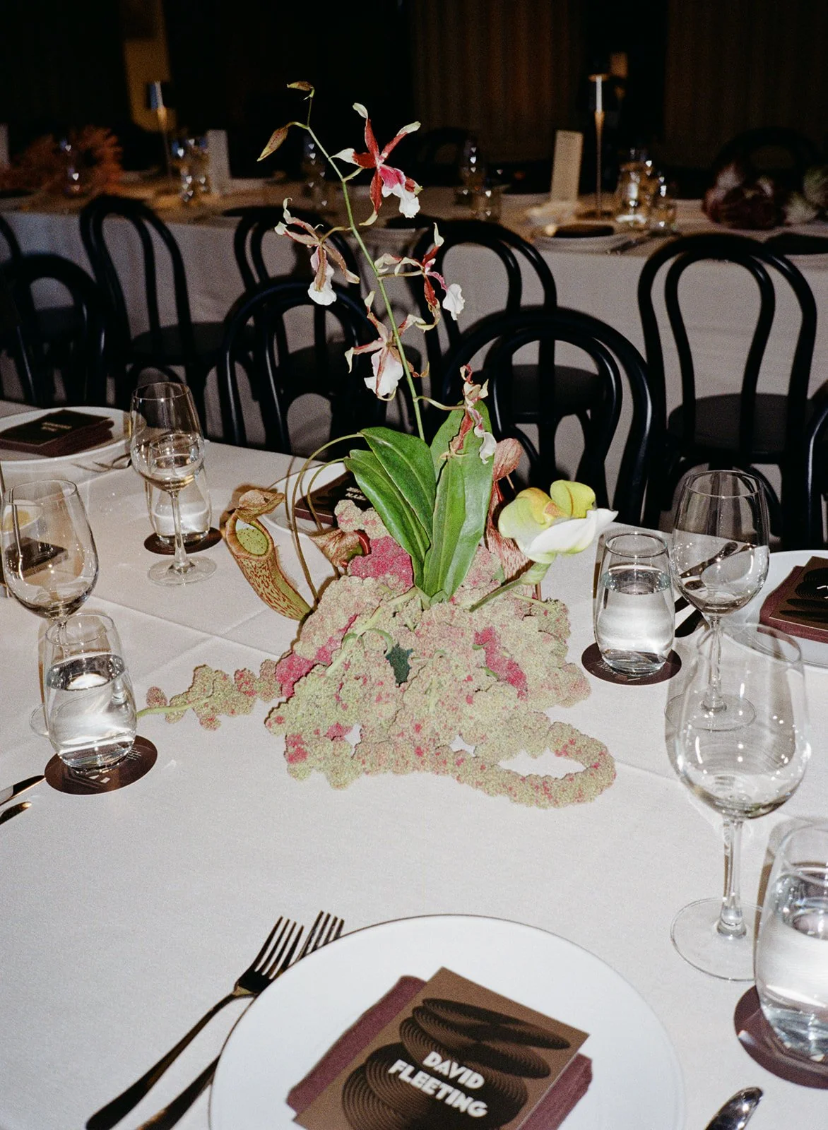 Sally & Mitch by Matt Godkin-185.jpg
