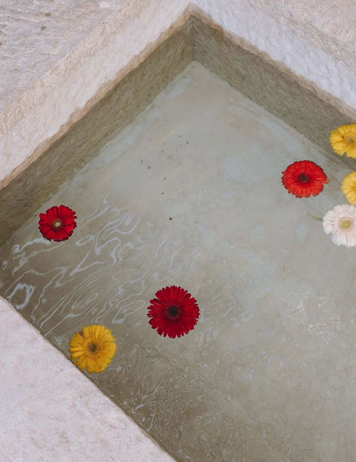 Patrick & Bryce Wedding-4.jpg