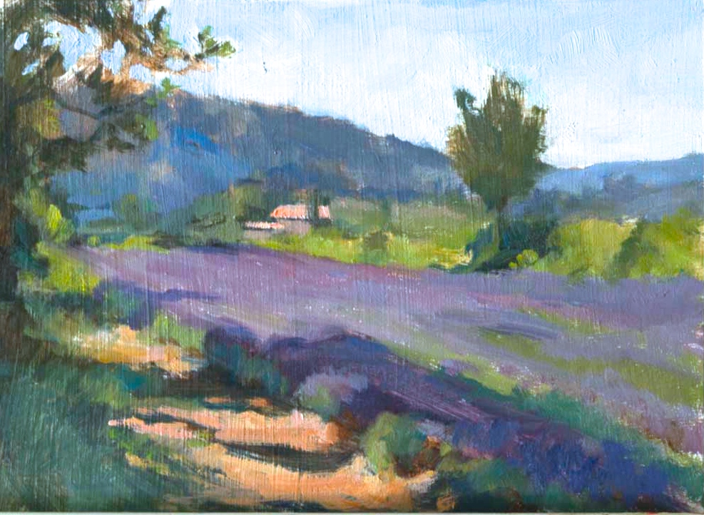 Lavender Field on a Summer Morning