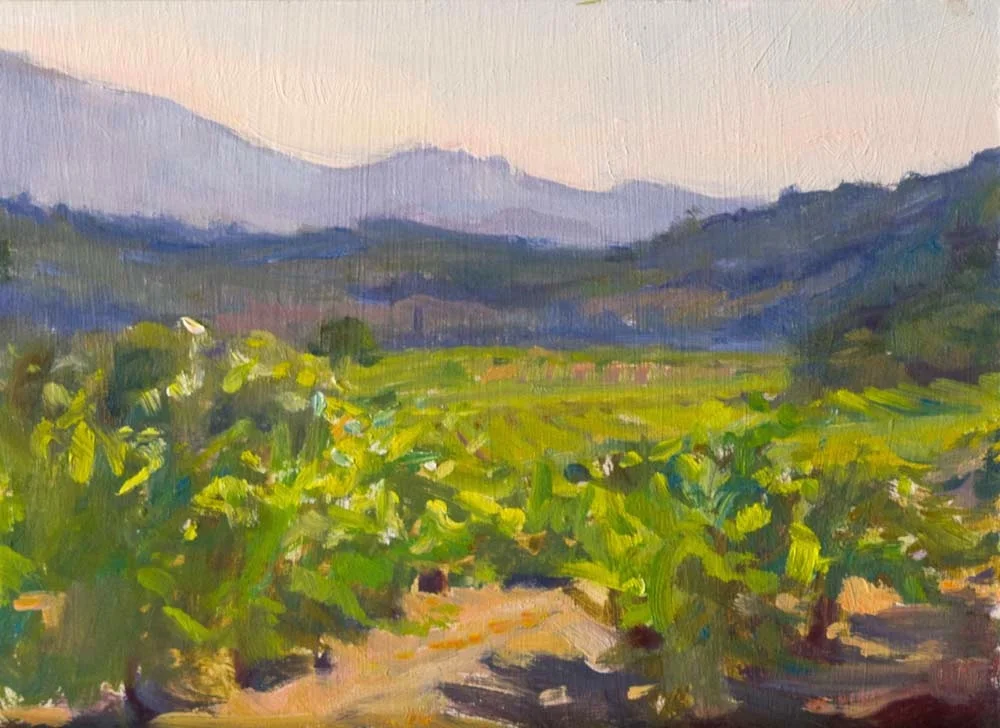 Vineyards in Entrechaux