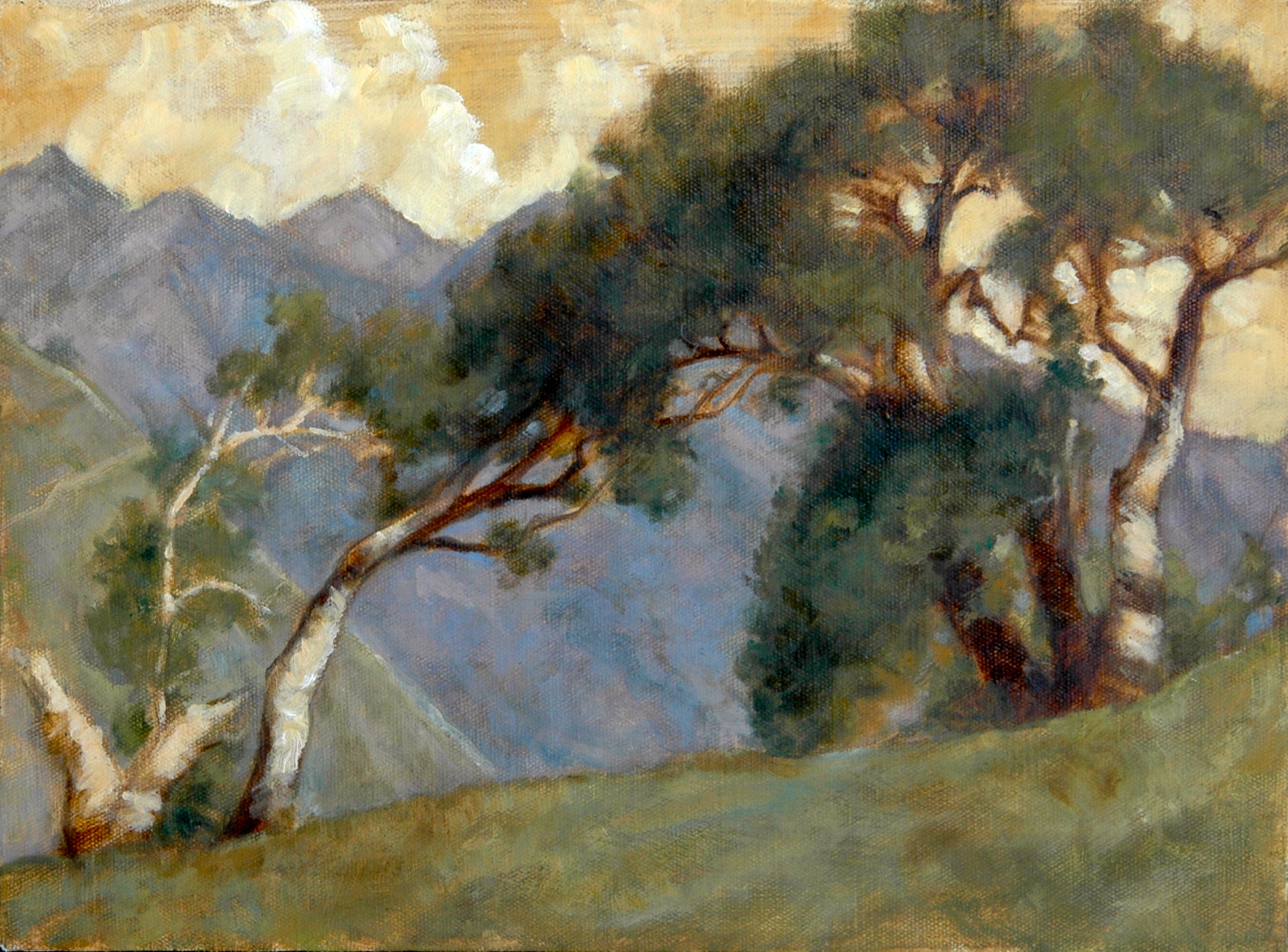 Golden Oaks, Big Sur