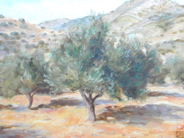 Olive Trees, Paros