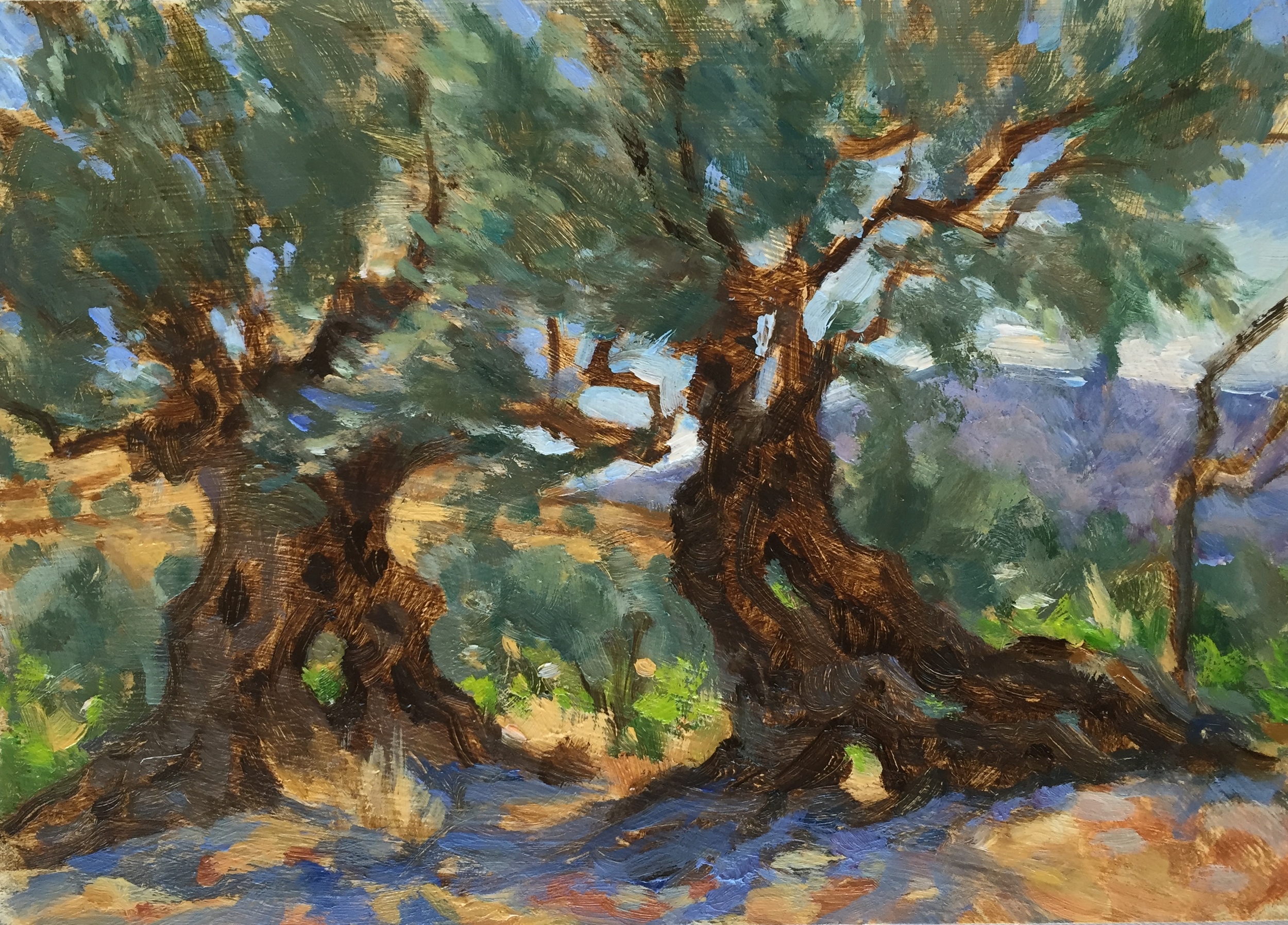 Dancing Olives
