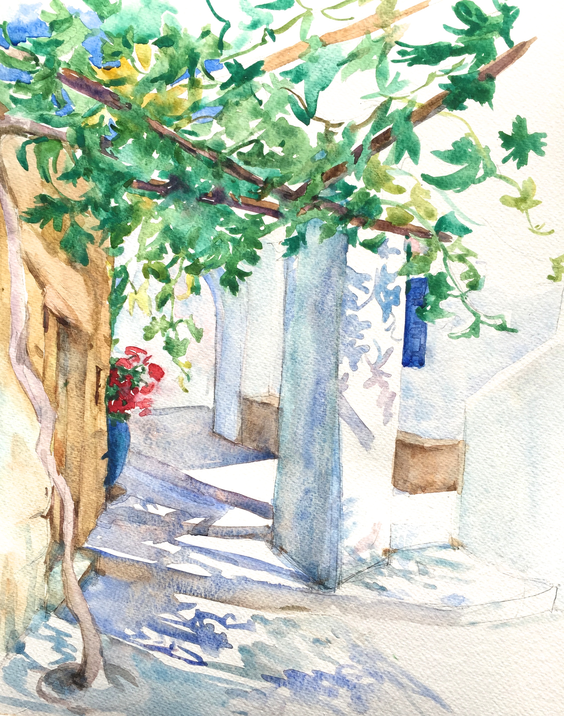 Levrossos vine shadows, Amorgos