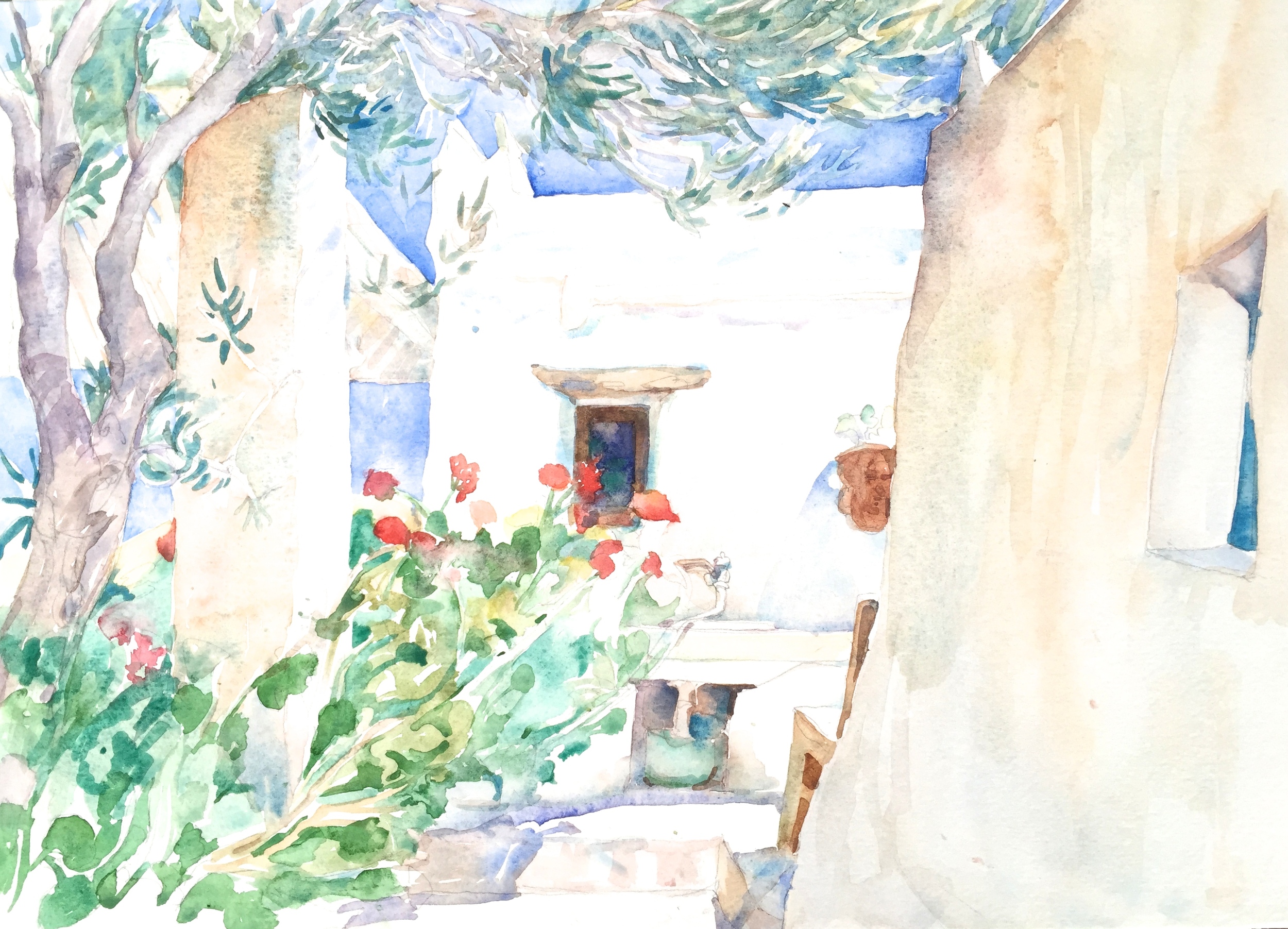 Geraniums at Aliki's spiti, Paros