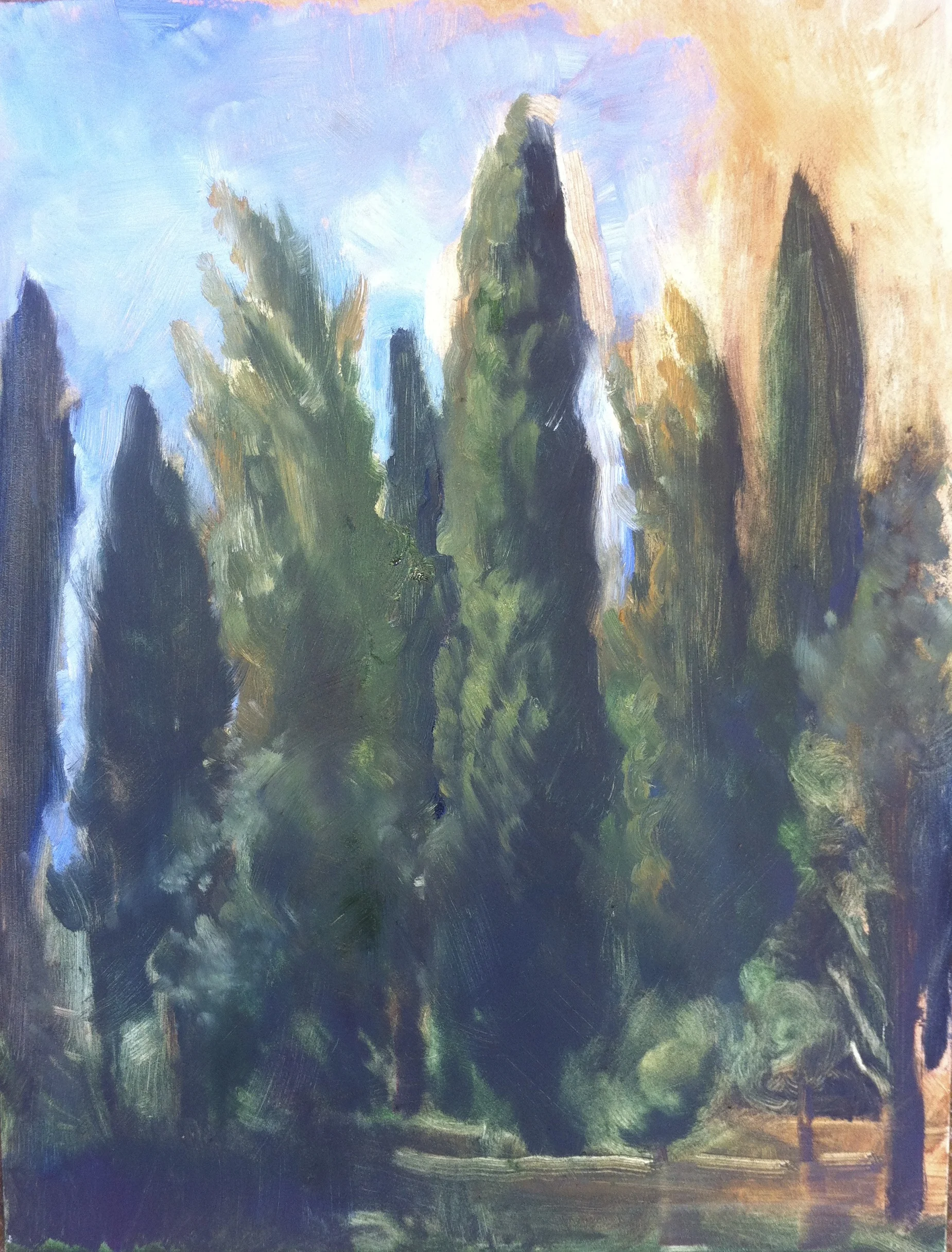 Cypress Study
