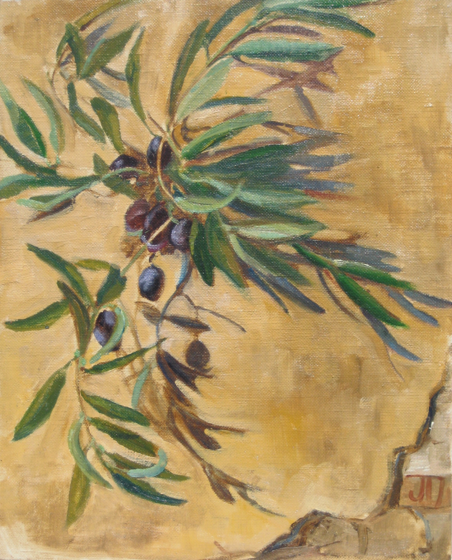 Olive Branches