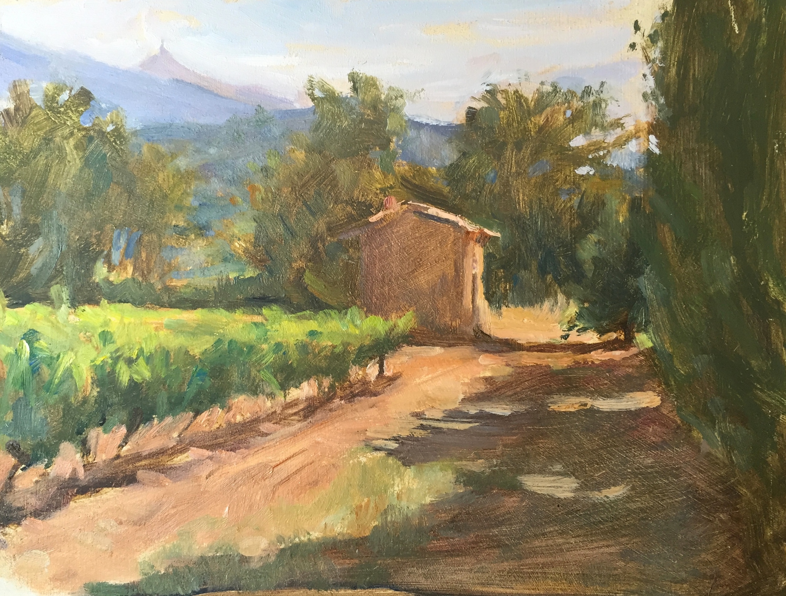 Cabanon in the Vineyards, Mont Ventoux