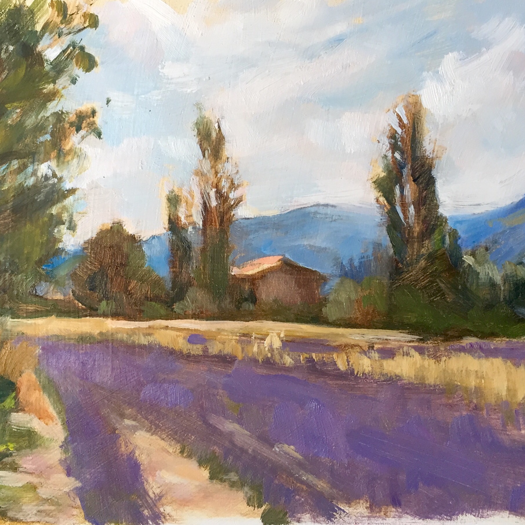 Cabanon in the Lavender Fields, Vallée de Sault