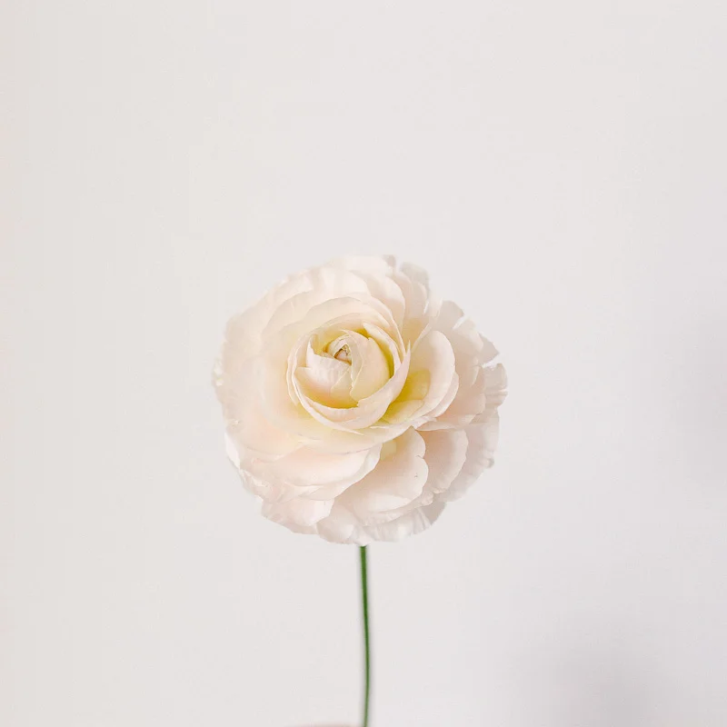 mandi nelson photography-20-1.jpg