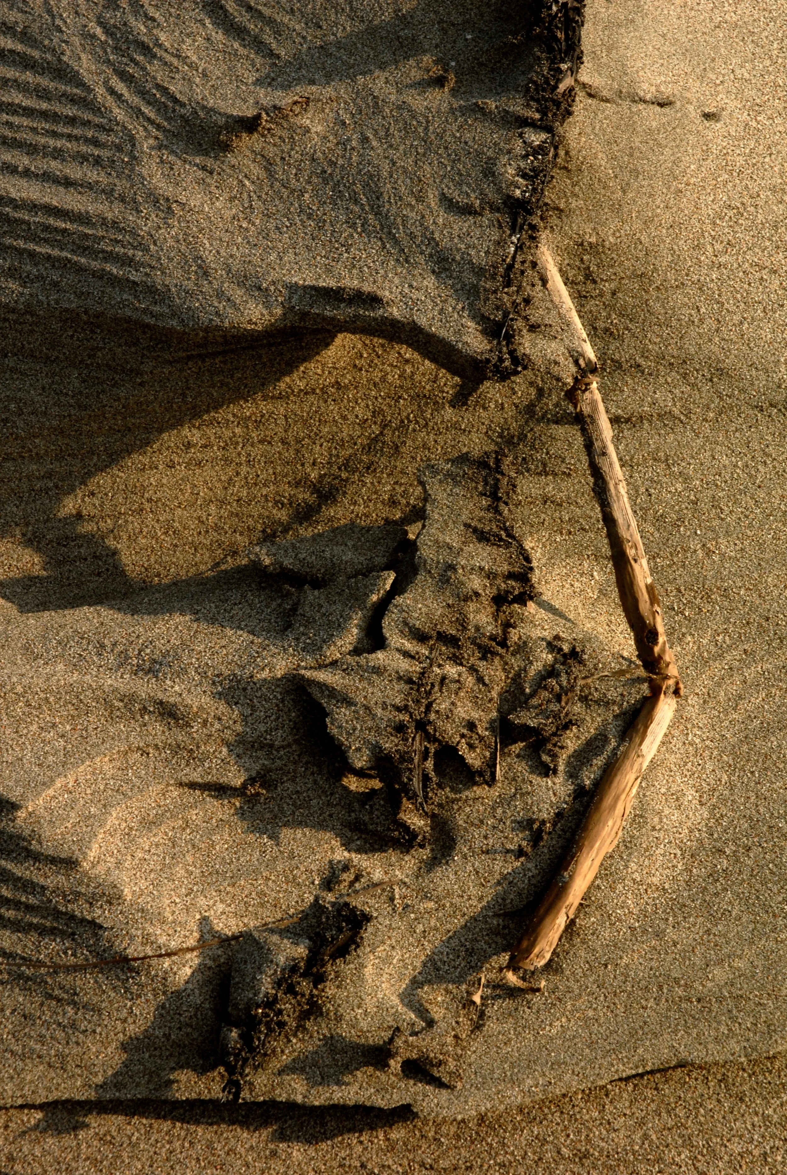 sabulosity02_sRGB.jpg