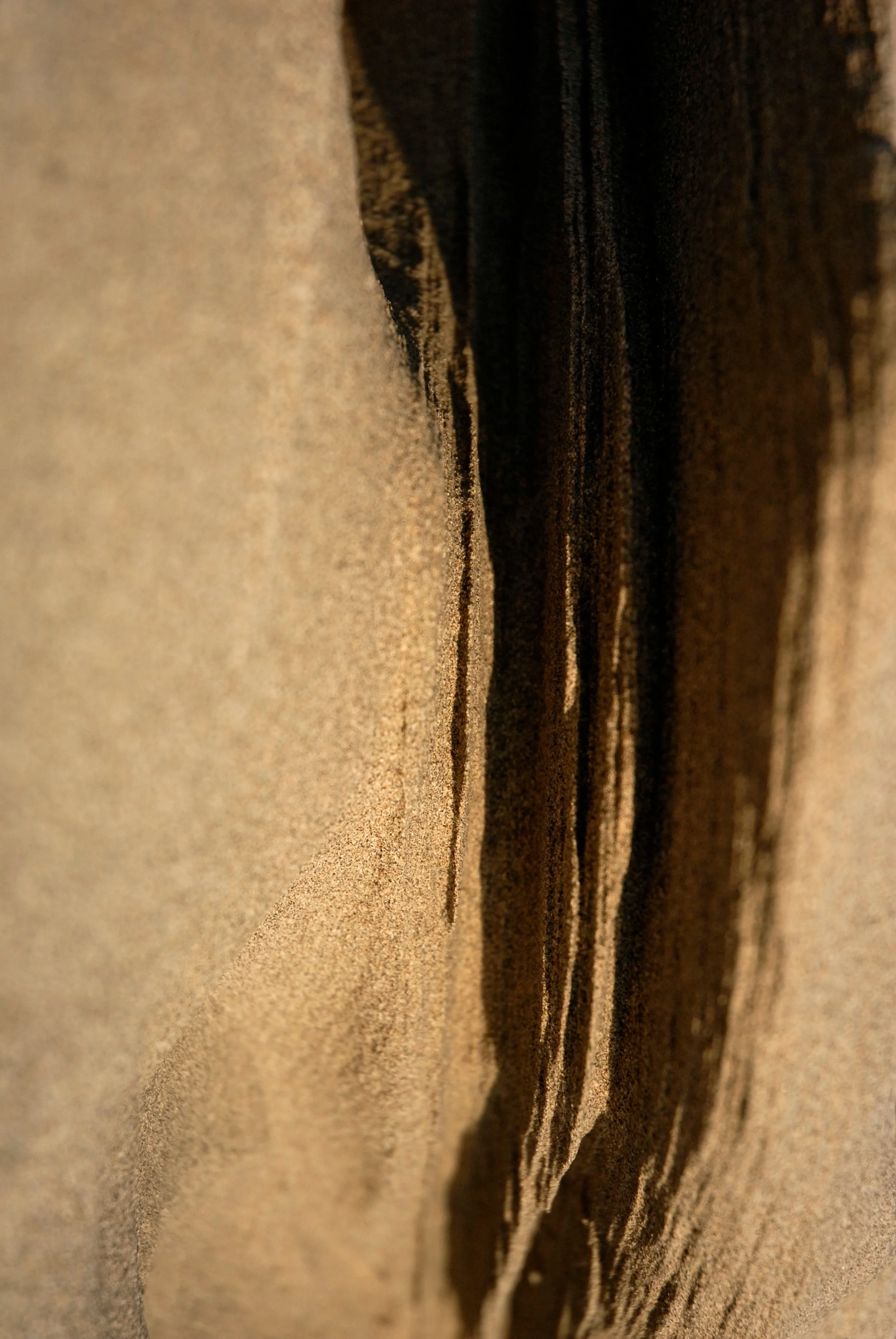 sabulosity09_sRGB.jpg