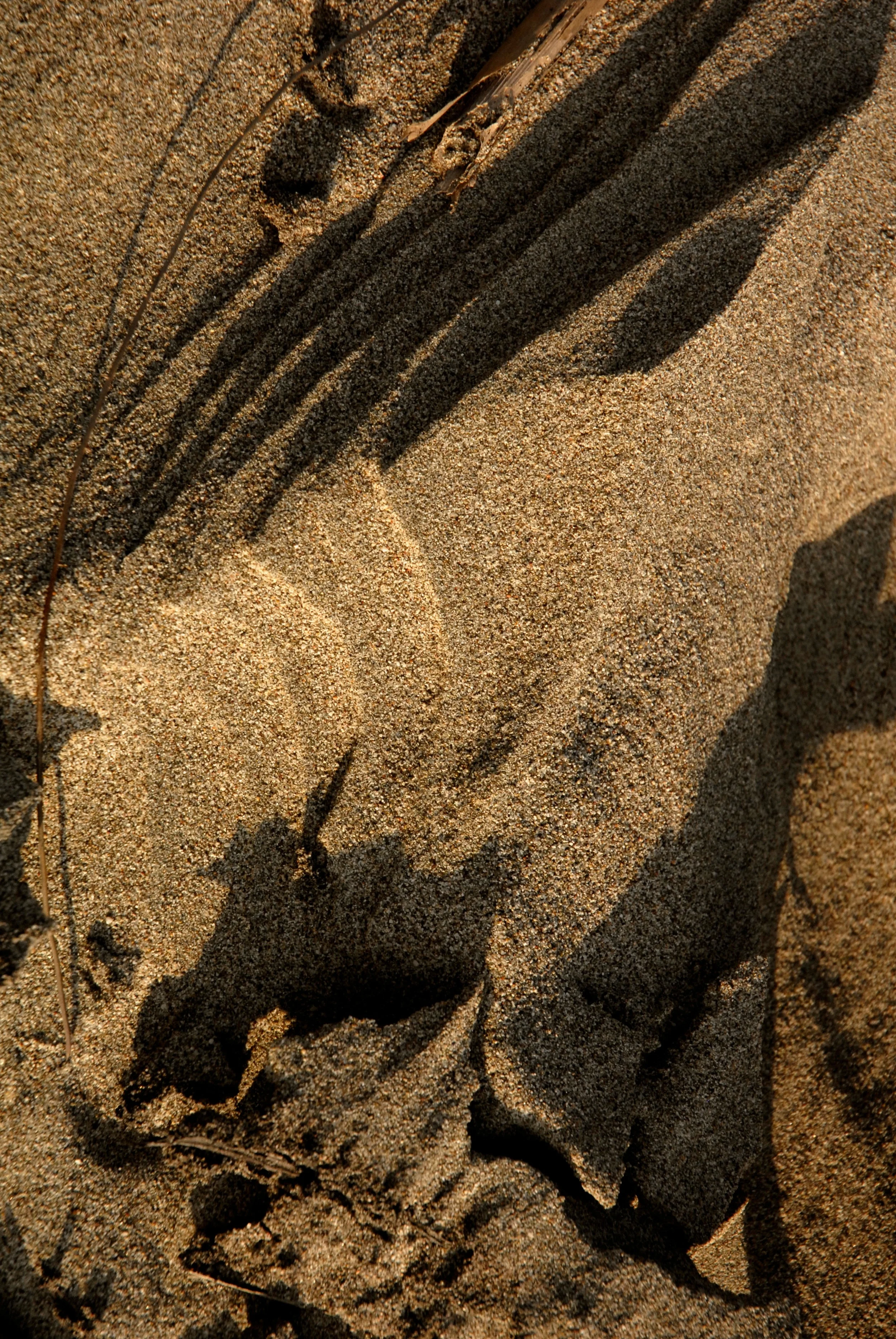 sabulosity08_sRGB.jpg
