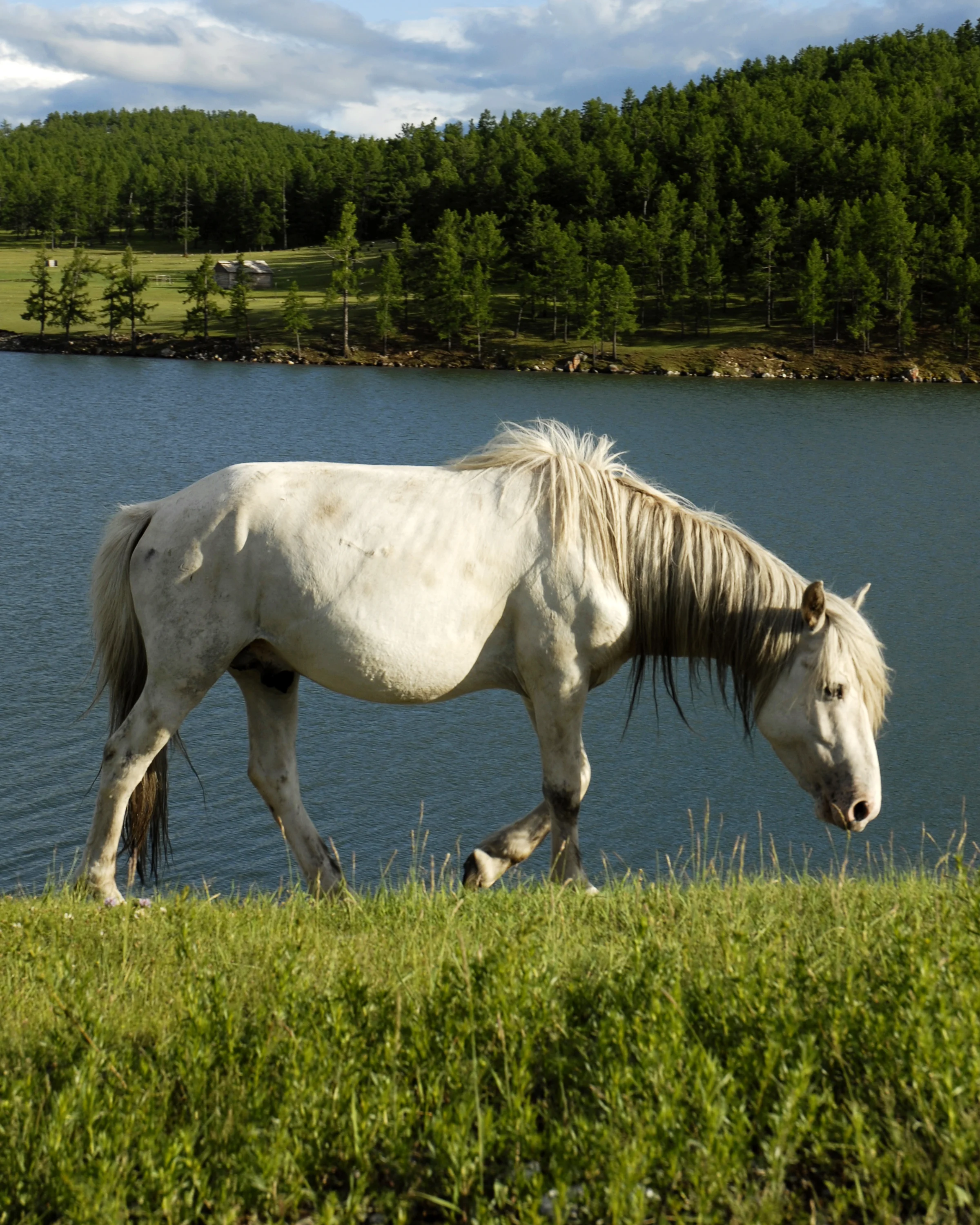 Khatgal, Mongolia