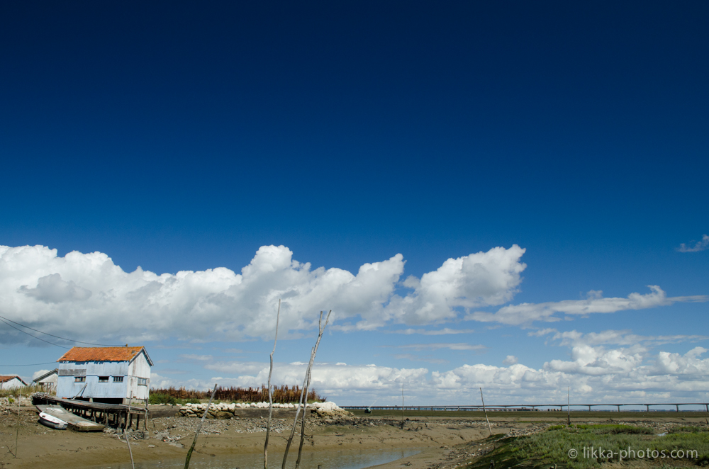 ile-Oleron-21.jpg