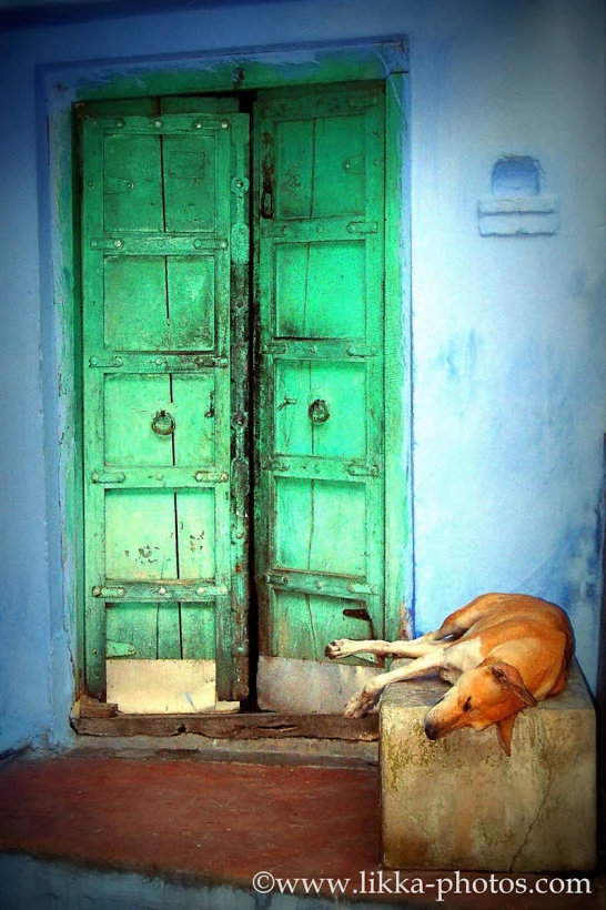 India-11.jpg