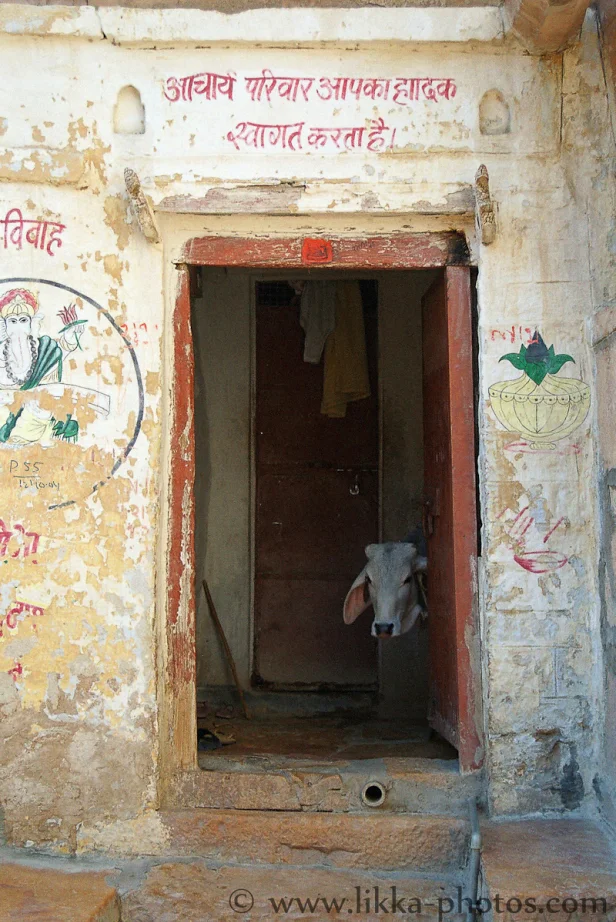 India-17.jpg
