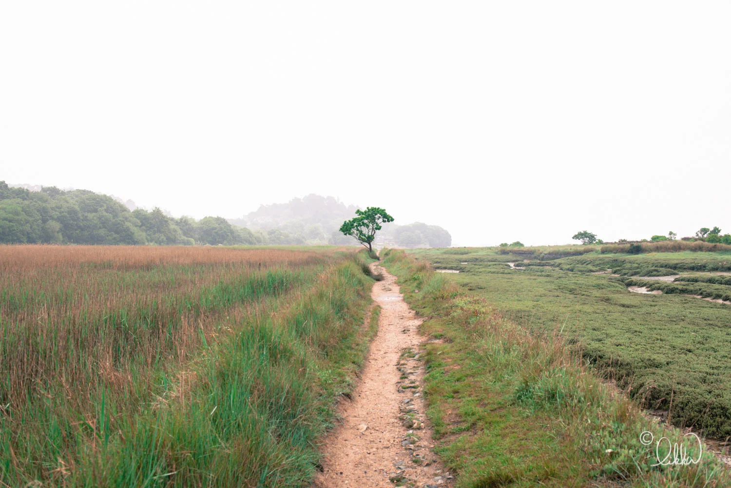 explore-likka-gallery-53.jpg