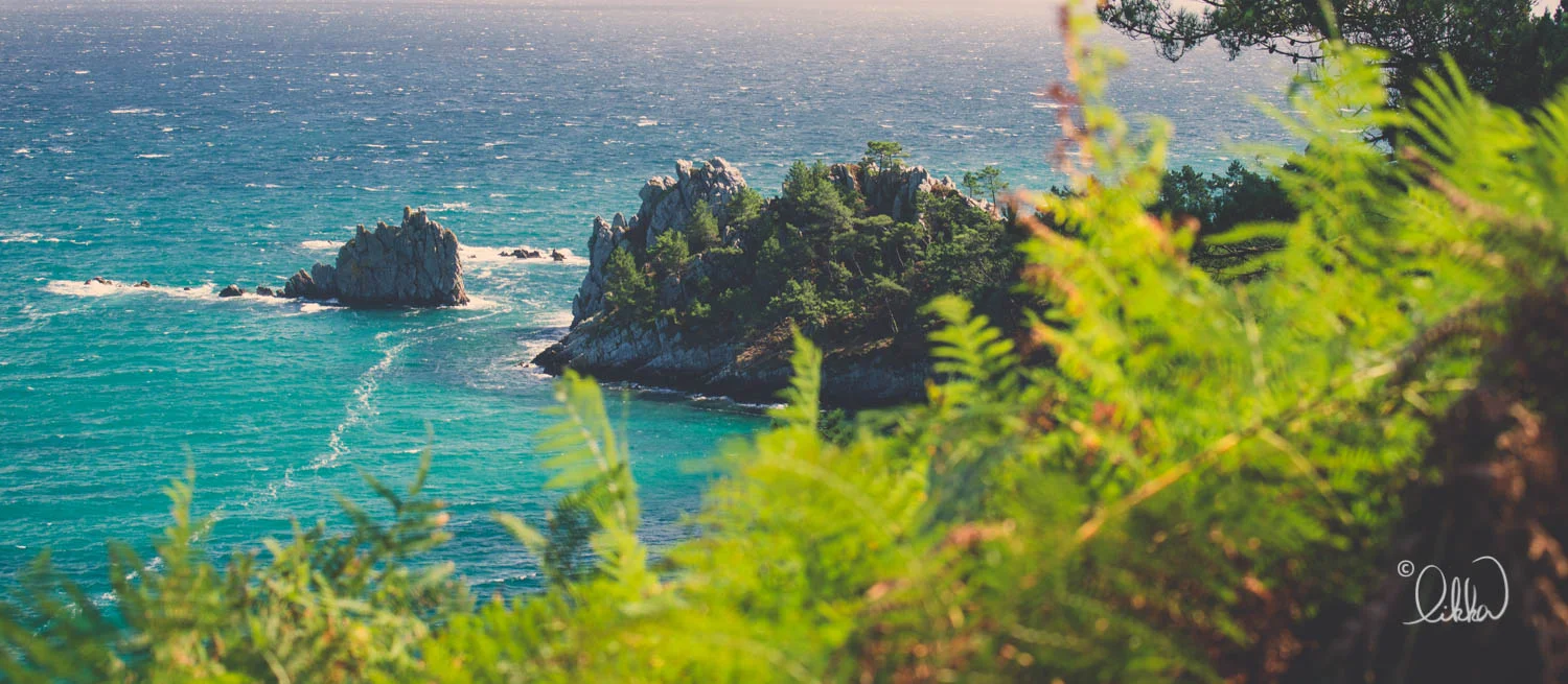 into-the-wild-gallery-likka-copyright copie.jpg