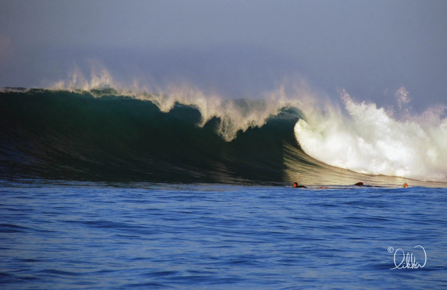 surf-likka-11.jpg