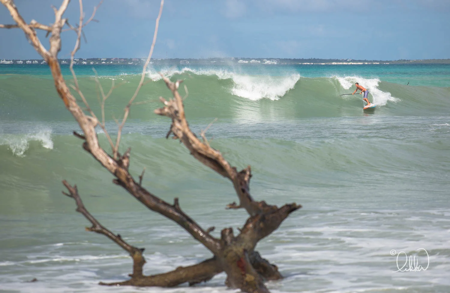 surf-likka-70.jpg