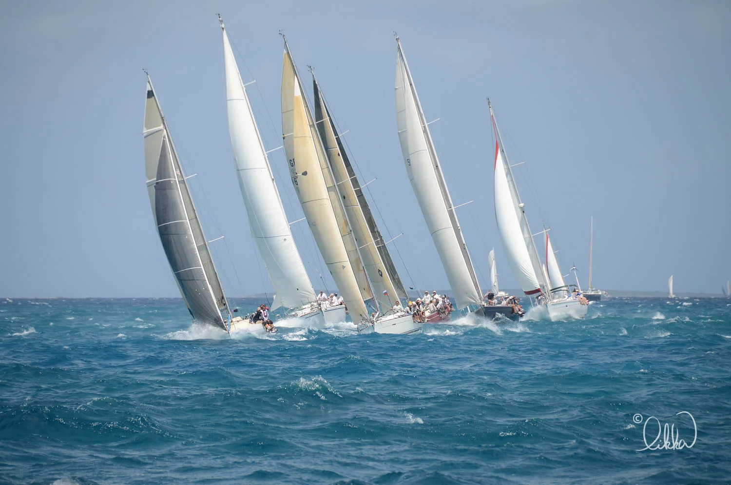 regatta-likka-106.jpg