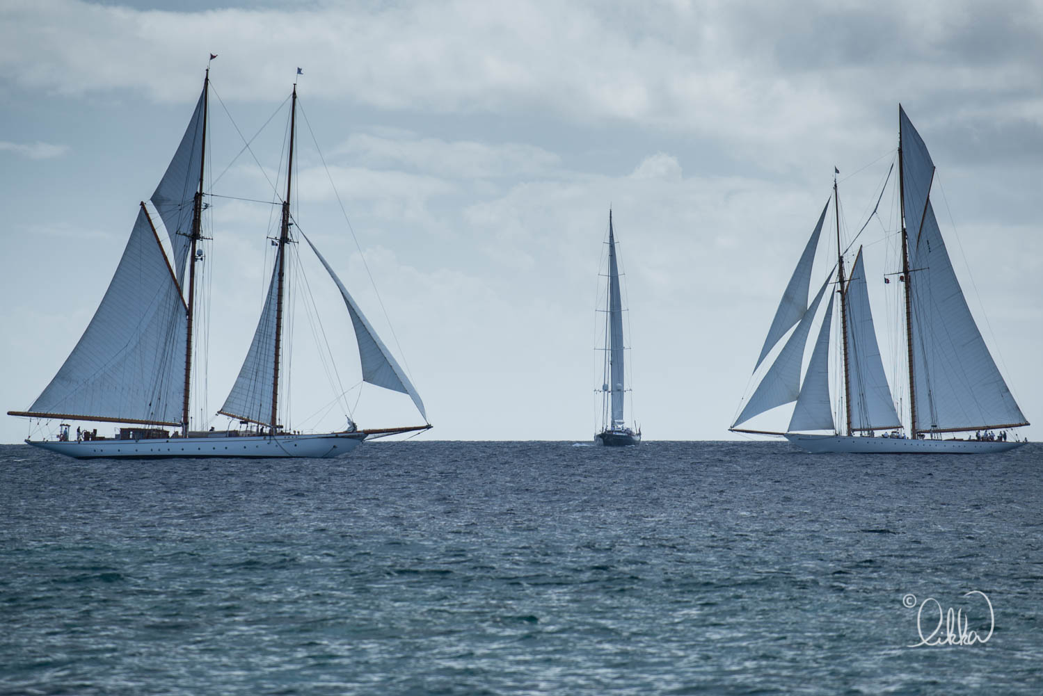 regatta-likka-150.jpg
