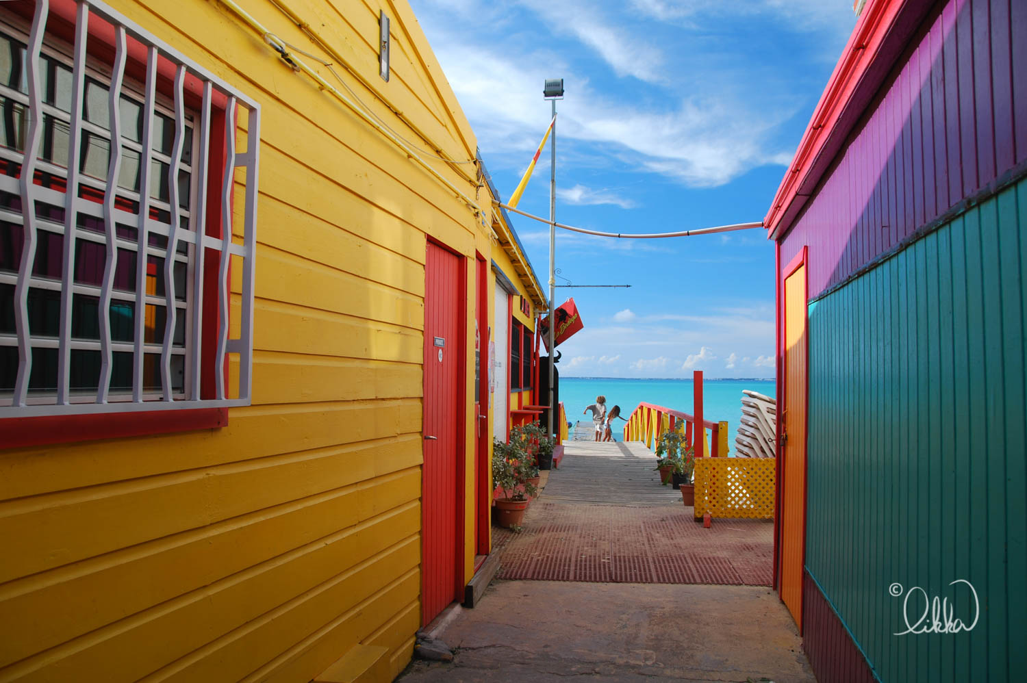 caribbean-likka-17.jpg