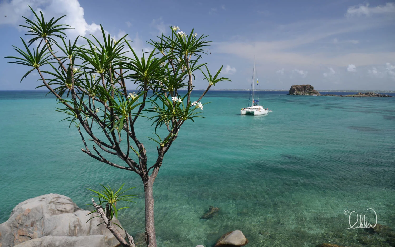 caribbean-likka-21.jpg