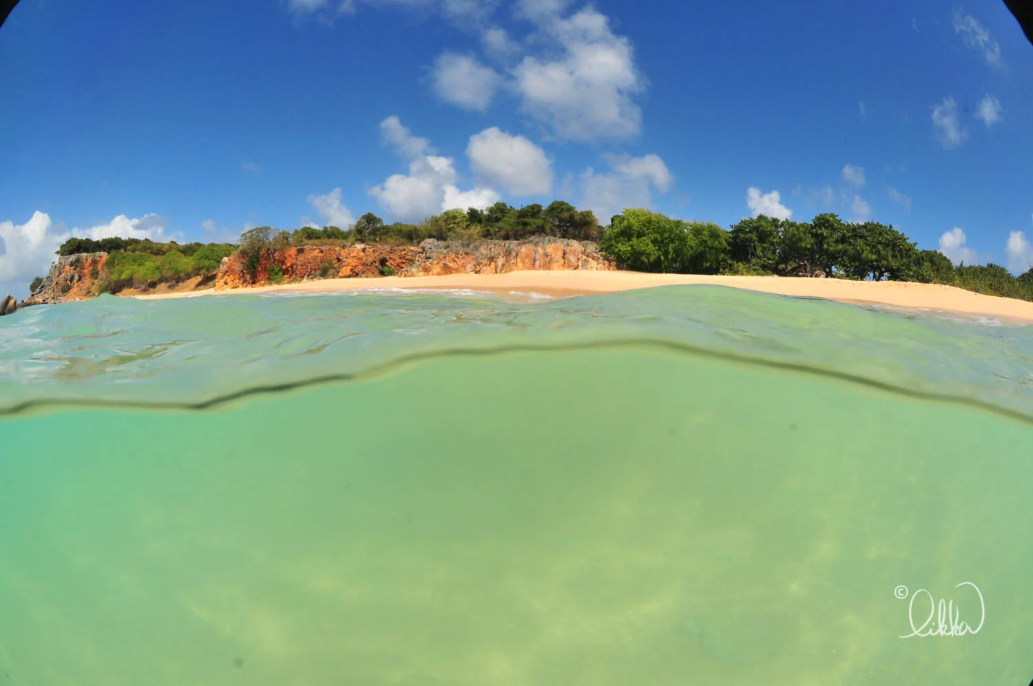 caribbean-likka-28.jpg